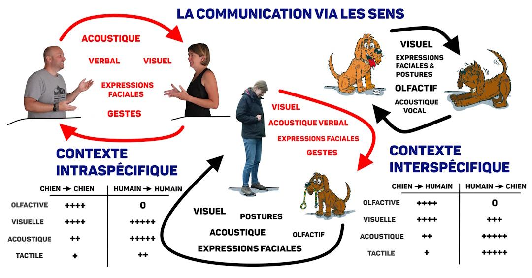Communication via les sens 1