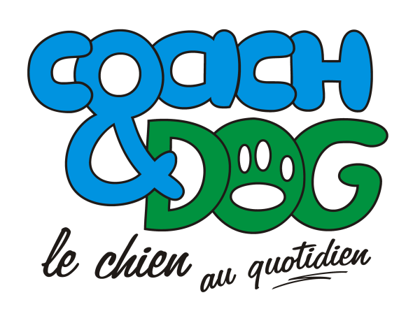 Coach And Dog